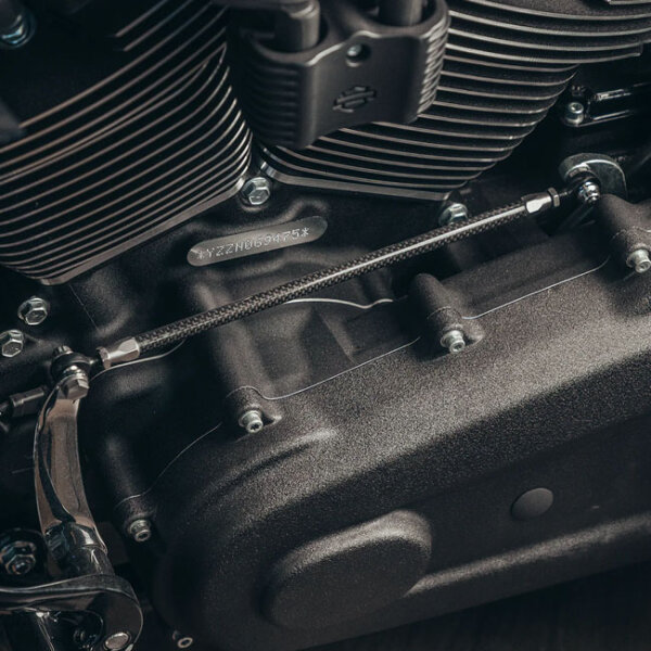Trask, carbon shifter linkage