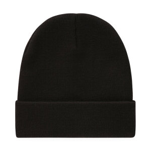 Dickies Gibsland beanie black One size fits most