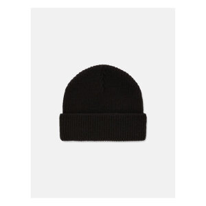 Dickies Woodworth beanie black One size fits most
