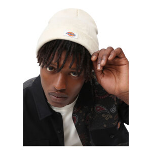 Dickies Gibsland beanie ecru One size fits most