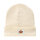 Dickies Gibsland beanie ecru One size fits most