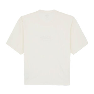 Dickies Lewistown Embro t-shirt egret Size 2XL
