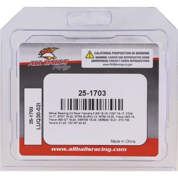 Bearing Kit Wheel R Yam