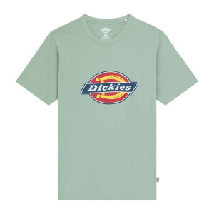 Dickies Icon Logo t-shirt iceberg green Size XL