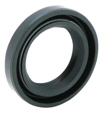 GZP Oil seal wheel bearing & swing arm (IT)