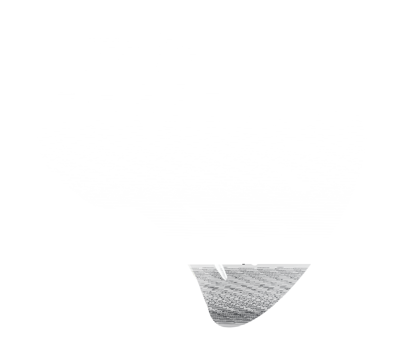 GZP Black contrast Voronoi HP Aircleaner (IT)