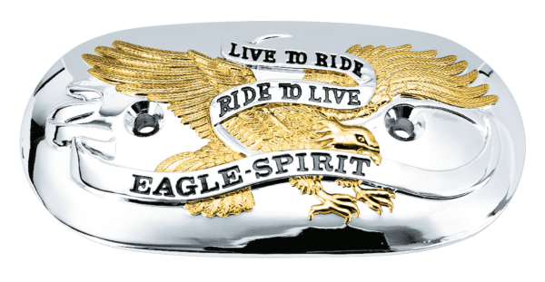 GZP Airclnr insert Eagle Spirit GO/CH (IT)