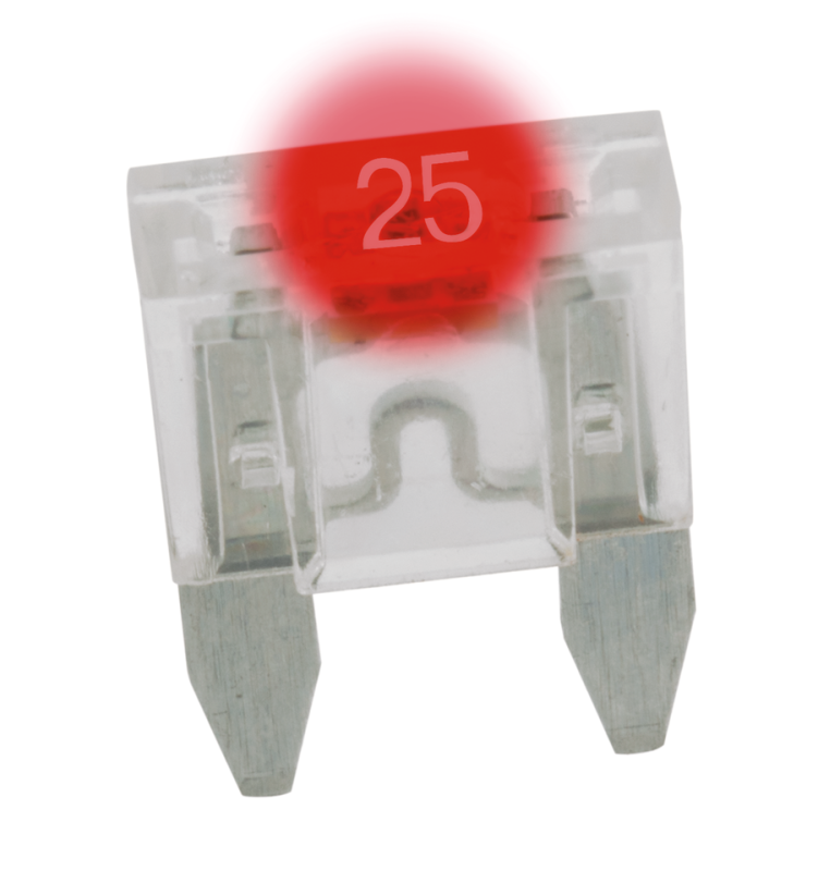 GZP 5pck Mini Led dtctr fuse Natural 25A (IT)