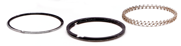 Pistonrings XL883 STD Chr.Mol Hastings (IT)