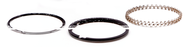 Pistonrings EVO 883 +010 Chr.Mol Hasting (IT)
