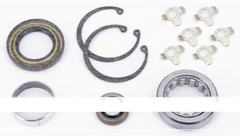 GZP Seal, bearing, bushing and lock tab (IT)