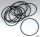 10pck O-ring derby Cover XL94-up (IT)