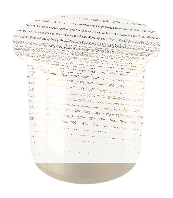 Bushing, pinion shft XL57-76 #25593-57 (IT)