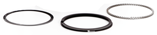 Pistonrings 2Cyl TC107"+117"+.030 Hastin (IT)