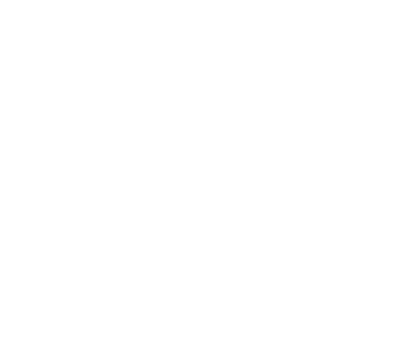 Air cleaner mesh (IT)
