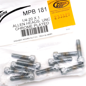 10pck Chrome allen screws 1/4-20x1 (IT)