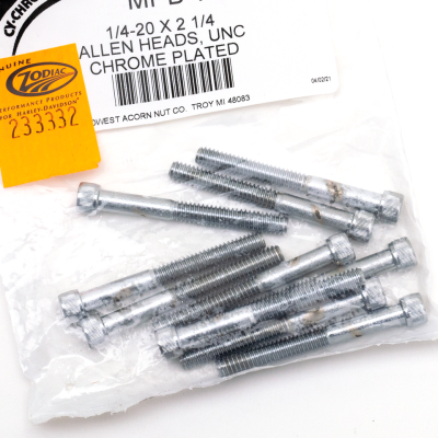 10pck Chrome allen screws 1/4-20x2-1/4 (IT)