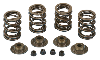 Racing valve spring kit BT78-84 steel rt