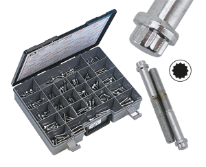 10pck 12-point bolts 1/4-20 x 1 3/4" (IT)