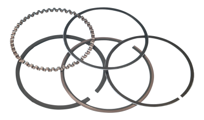 Wiseco Piston rings 883/1200 EVO 3.534" (IT)