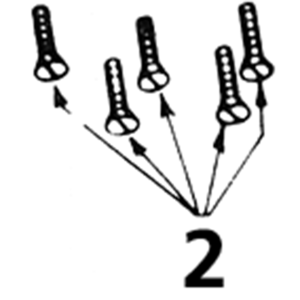 Transmission side cover screws 45CI chr (IT)