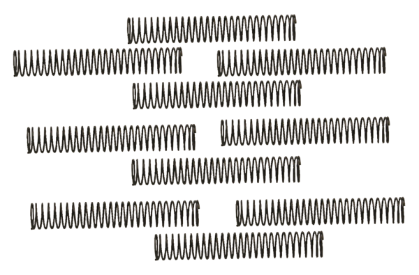 10pck S&S Check valve spring (IT)