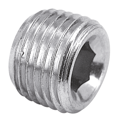 1/4" NPT plug zinc plated (IT)