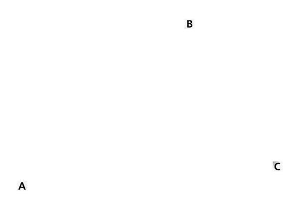 Aero 300 Midi gas cap N/V (IT)