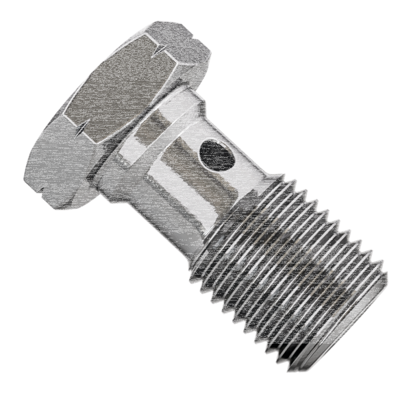 Banjo bolt M10x1.25 STAINLESS (IT)