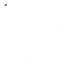 AVON AM20 130/90-16 73H FR TL (IT)