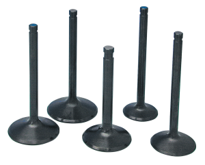 Intake Valve BT84-04 #18074-83A