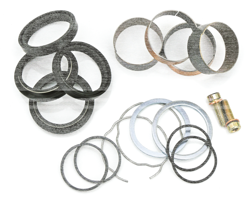 GZP 49mm fork rebuild kit FXD06-17 (IT)