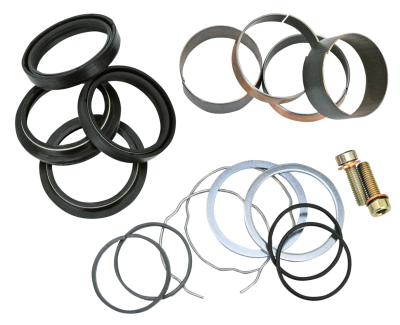 GZP 49mm fork rebuild kit FXD06-17 (IT)