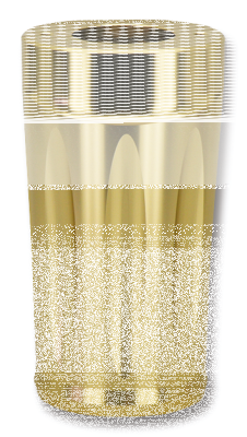 GZP Bronzed Hornet forkboots FLSTF90- (IT)