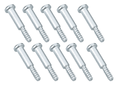 GZP 10pck Screw taillight lens mounting (IT)
