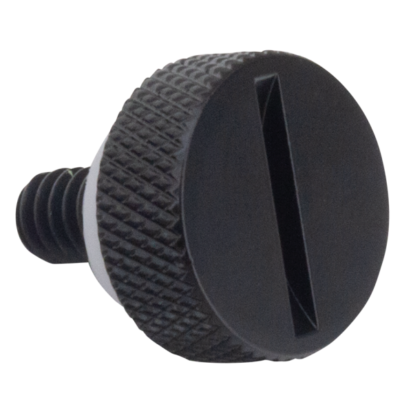 GZP Blk slotted Ezy seat screw 1-4-20 (IT)