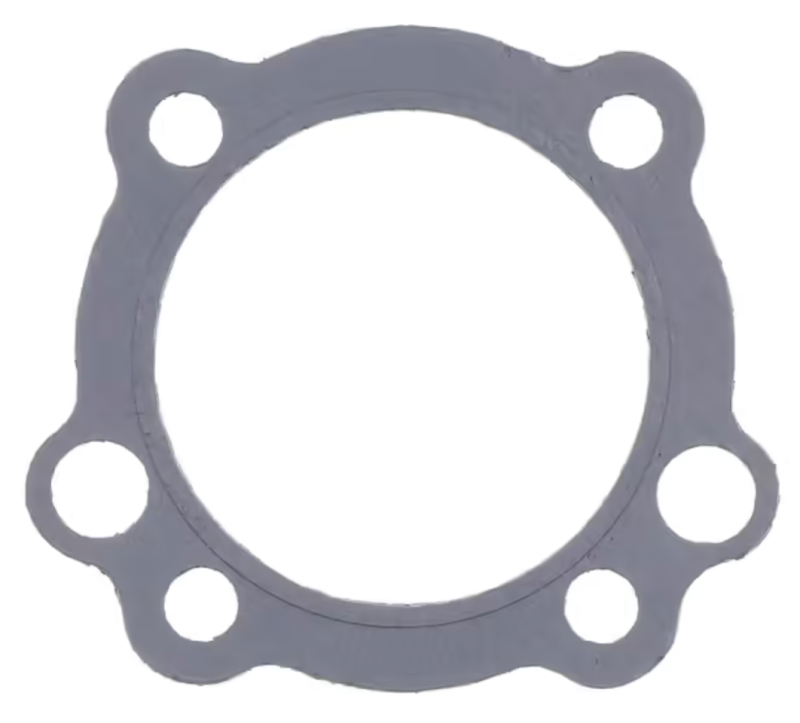 5pck Graphite cyl. head gasket EVO (IT)