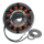 CompuFire Alternator rotor