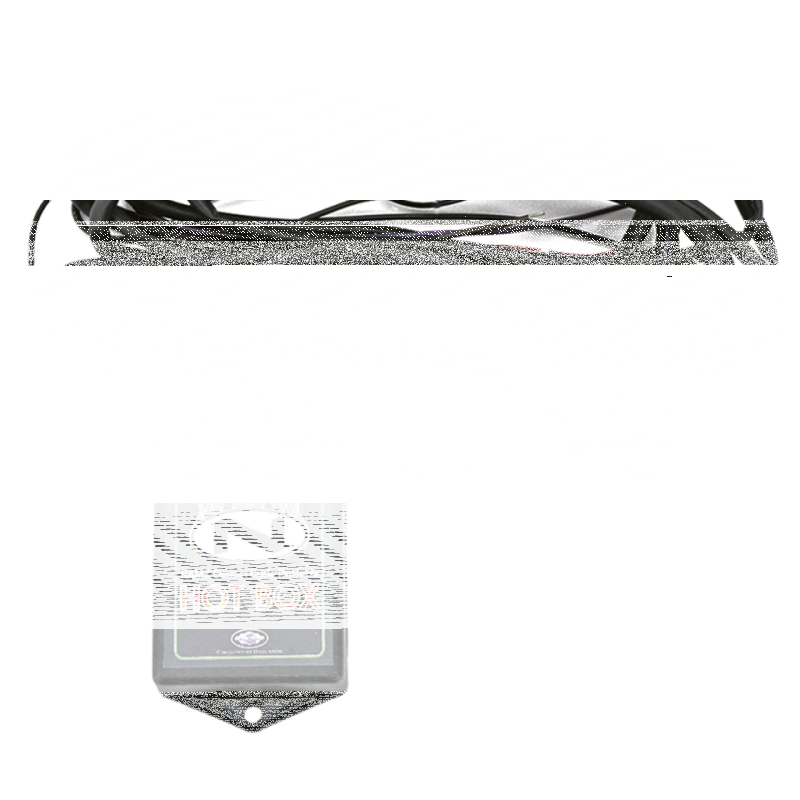 NAMZ Hot box rear harness FLHX/FLTR10-13 (IT)