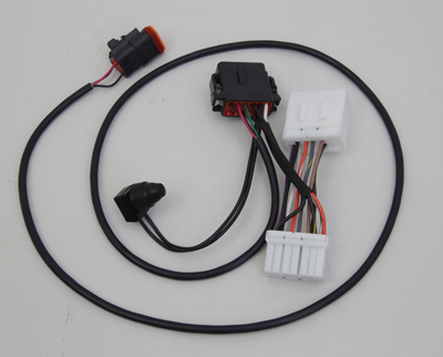 Speedo wiring harness FXDWG96-97 (IT)