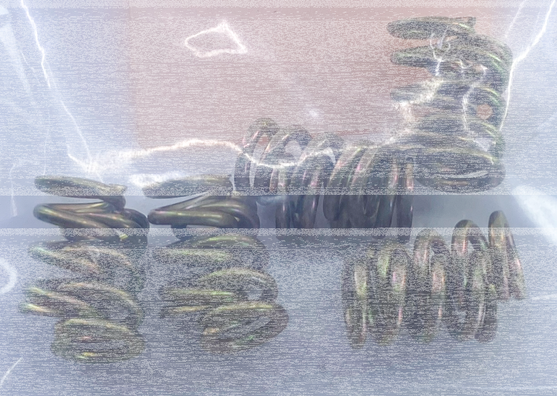 10pck idle screw spring (IT)