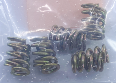 10pck idle screw spring (IT)