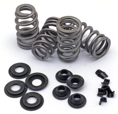 Beehive valve spring kit EV/TC84-04 .660