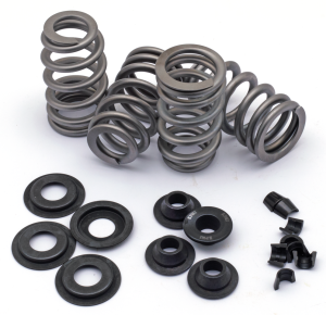 Beehive valve spring kit EV/TC84-04 .660 (IT)