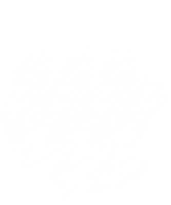 PANTHER HEAD 6,5" X 5" (IT)
