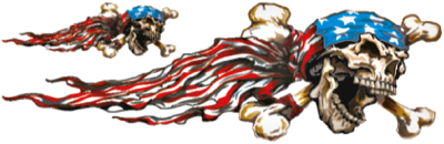 USA SKULL RIGHT 3"X10" (IT)