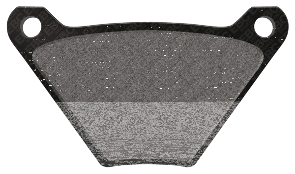 EBC-V brake pads (IT)