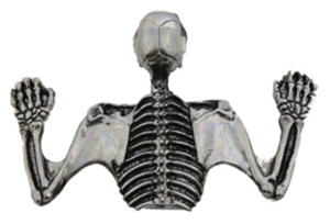 7" Headlamp Visor Ornament Skull Chrome (IT)