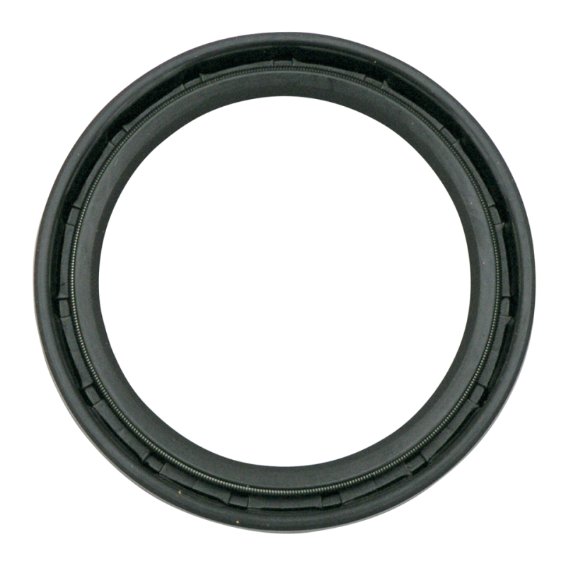 Fork Oil Seals, pair (IT)