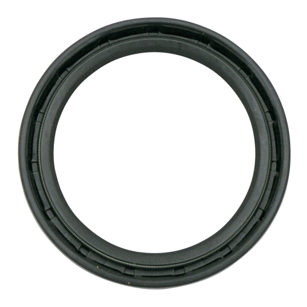 Fork Oil Seals, pair (IT)